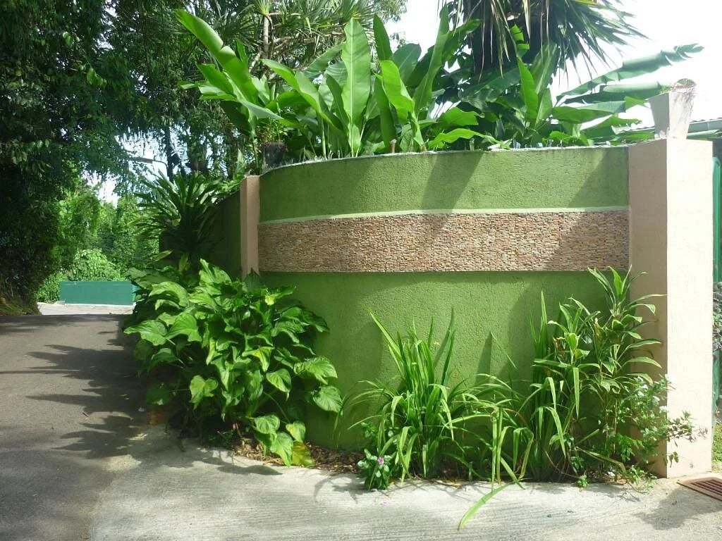 Curved lime-green entrance wall with stone band and tropical plants — Anse Soleil Road at Maison Soleil, Anse Soleil, Seychelles